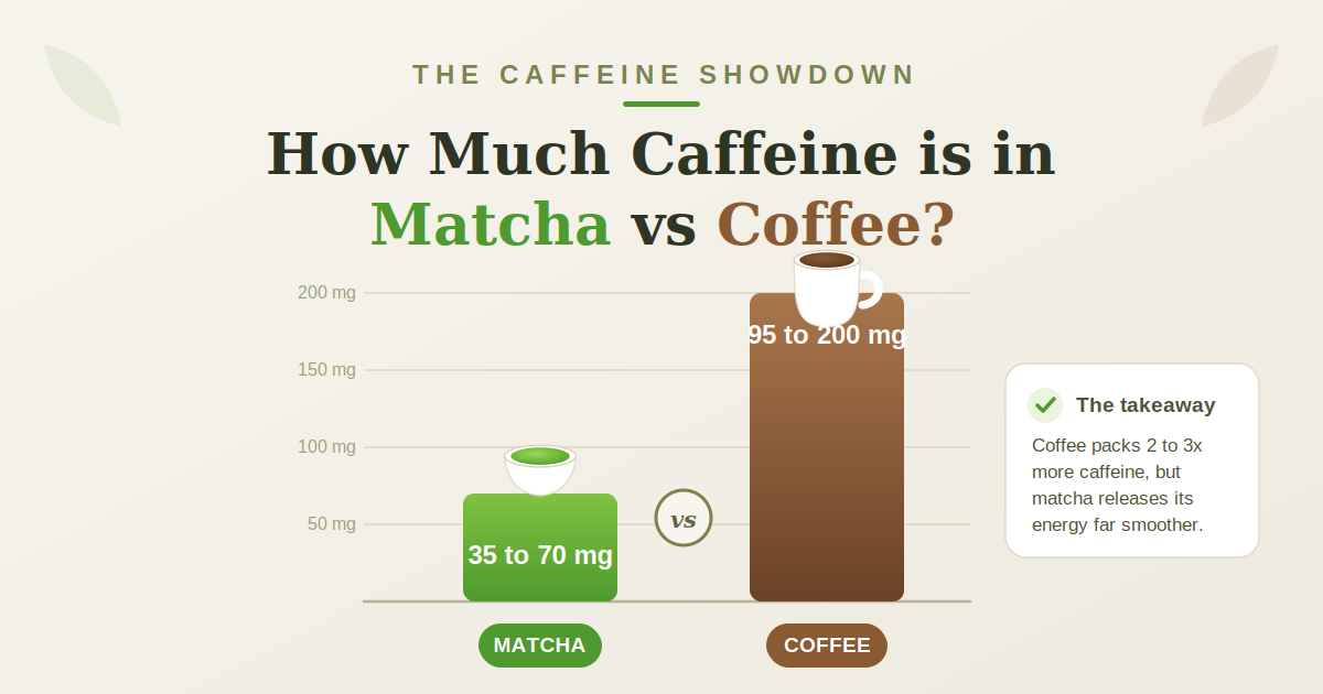 The Caffeine Showdown: How Much  Caffeine is in Matcha vs Coffee?