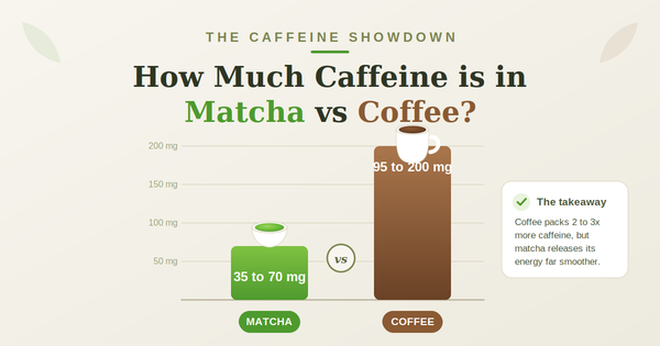 The Caffeine Showdown: How Much  Caffeine is in Matcha vs Coffee?