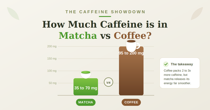 The Caffeine Showdown: How Much  Caffeine is in Matcha vs Coffee?