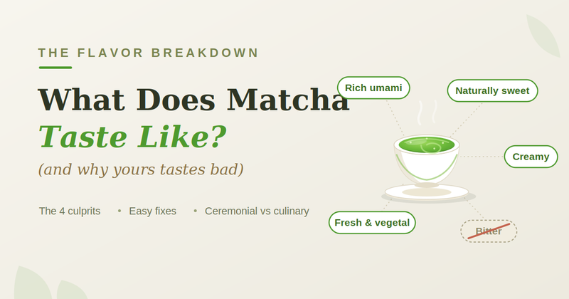 What Does Matcha Taste Like? (And Why Yours Tastes Bad)