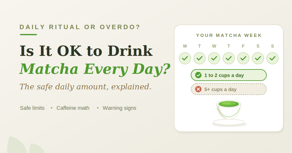 Daily Ritual or Overdo? Is It OK to Drink  Matcha Every Day?