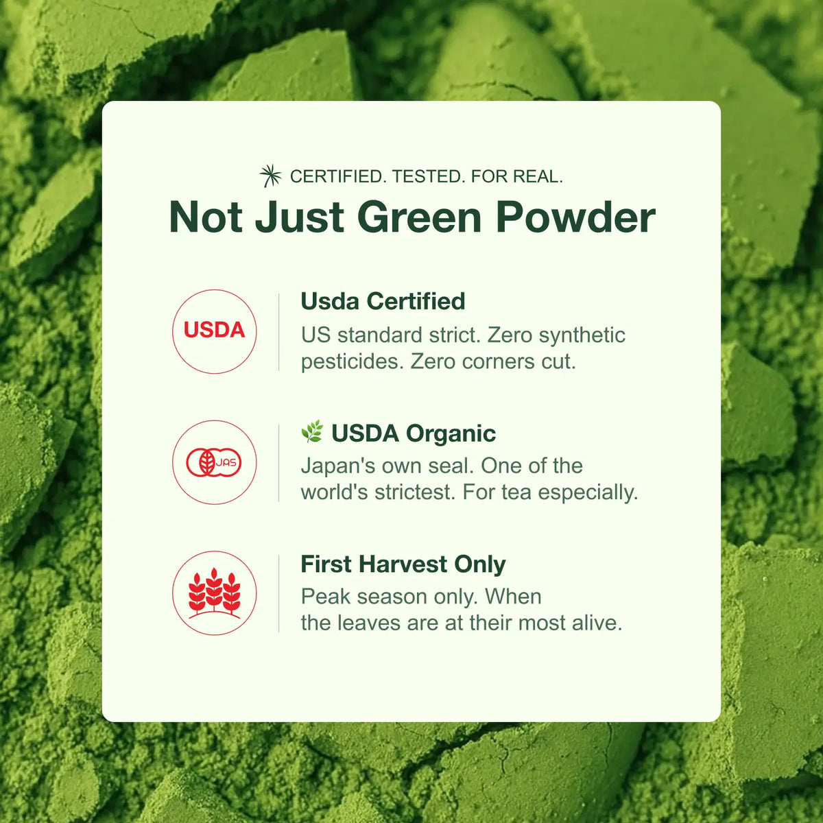 GG Matcha